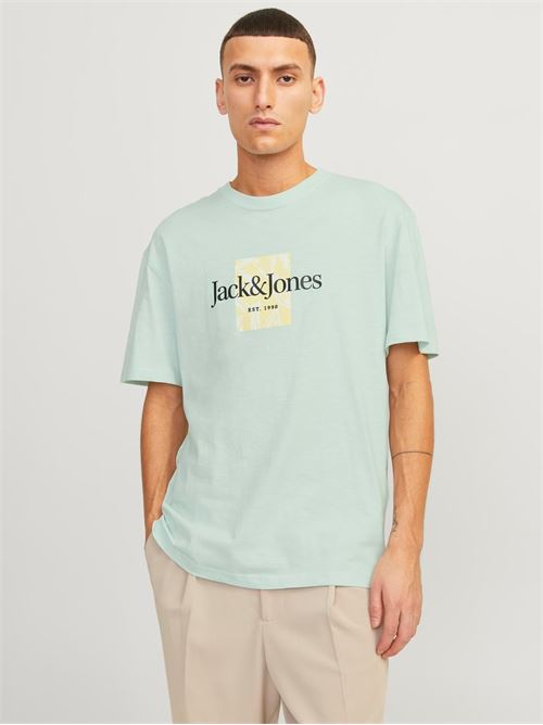  JACK AND JONES | 12250436/Skylight